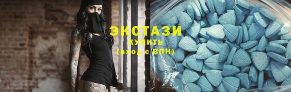 соль ск Новозыбков